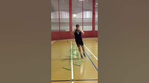 Zig-Zag Hurdle Hop
