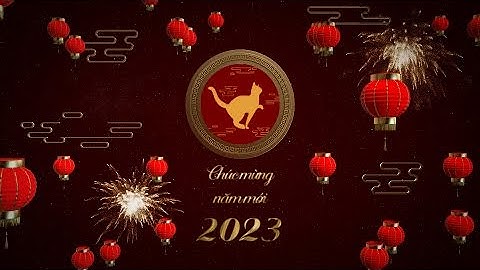 Intro Style lồng đèn bay năm mới 2023 - Quý Mão v8 - Happy New Year 2023 | C9digi