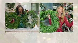 Simply Stunning Norfolk Pine Real Touch Greenery by Janine Graff on QVC
