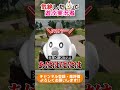 【PalWorld】気絶したタマコッコを転がして遊ぶアトラクション作ったｗｗｗ【させぴこ】