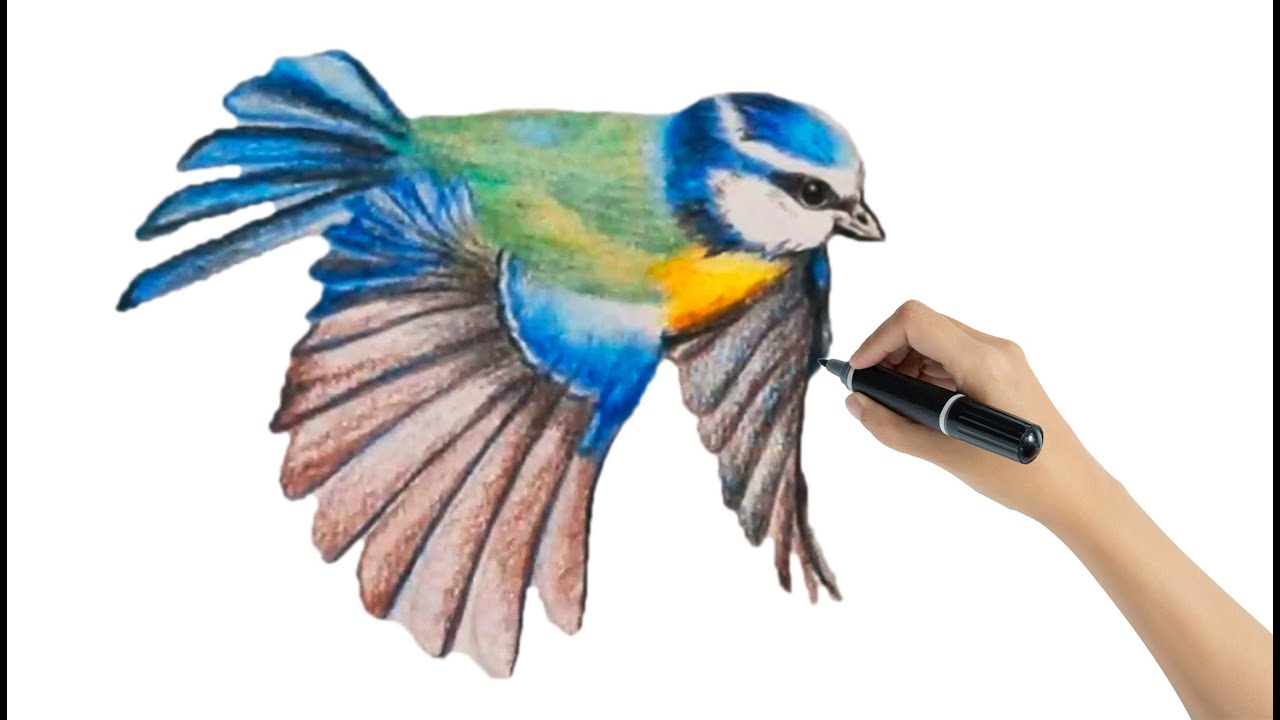 Bird Coloring Pages For Kids And Adults | AllFreePaperCrafts.com
