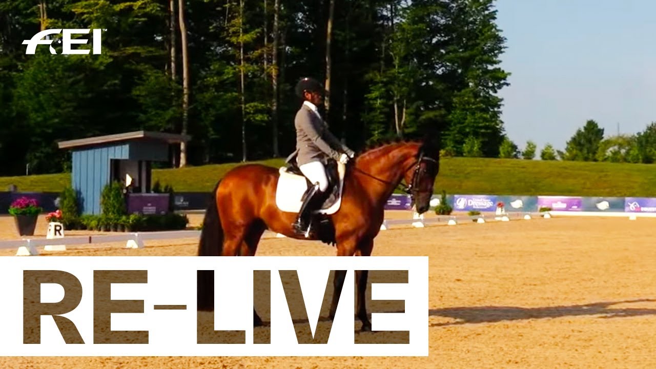 live horse jumping