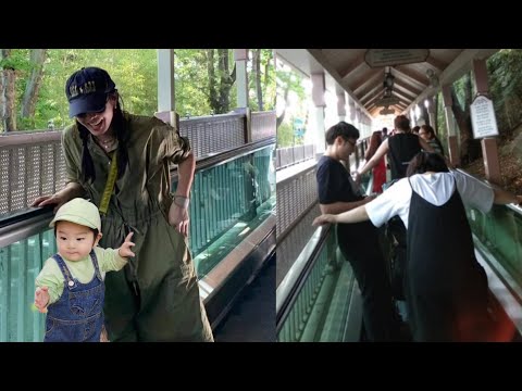 Son Ye-Jin, Hyun Bin And Alkong In The Zoo! Baby Alkong Enjoys His Day Out With Mom And Dad