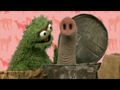 Elmo S World Quizzes Wild Animals Youtube