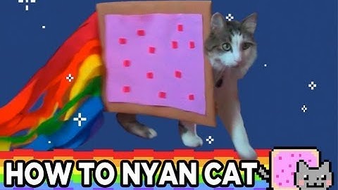 HOW TO NYAN CAT