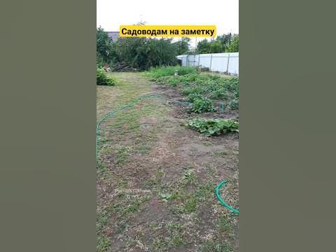 Садоводам на заметку - YouTube