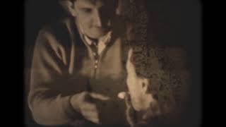 dwig - gentle memories