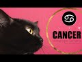 CANCER! ♋️ PREPÁRATE! VIENEN SORPRENDENTES CAMBIOS 💞TAROT SEMANAL AMOR Y MAS HOROSCOPO Y TAROT