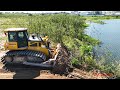 Best action of shantui bulldozer clearing grass into water on a big land