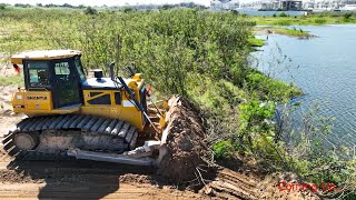 Best Action Of SHANTUI Bulldozer Clearing Grass Into Water On a Big Land
