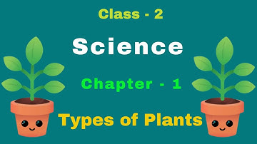 Chapter -1 | Types of Plants | cbse | Science | Standard - 2 | CBSE Board - Class 2