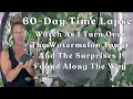 Watermelon Growth Time-Lapse & Surprises I Found When Cleaning Out The #towergarden #garden