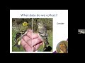 BOC Meeting 5.2.25 - Bird Ringing by Lee Barber