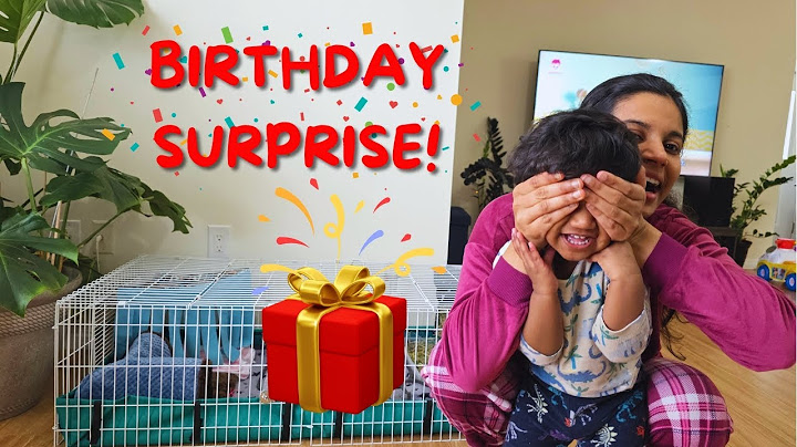Birthday Surprise🎁 | ഹാനുവിൻ്റെ പിറന്നാൾ സമ്മാനം #birthday #surprise