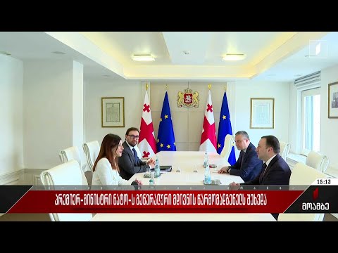 პრემიერ-მინისტრი ნატო-ს გენერალური მდივნის წარმომადგენელს შეხვდა