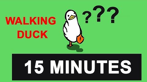 Duck Goes For A Walk 15 Minutes - Countdown Timer 15 minutes  - walking duck - đồng hồ đếm ngược