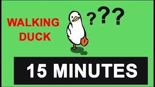 Duck Goes For A Walk 15 Minutes - Countdown Timer 15 minutes  - walking duck - đồng hồ đếm ngược