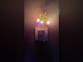 Video Image