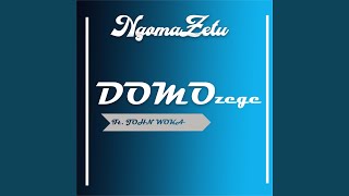 Domo zege