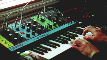 Skeleton Beach // Jan. 13th Live Ambient Jam // Moog Grandmother, Carbon Copy Delay, Ableton Push 2