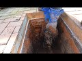 Major Roots Blocking Manhole - Close Up Views of Drain Unblocking