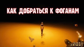 [Black Desert] Где и как живут фоганы