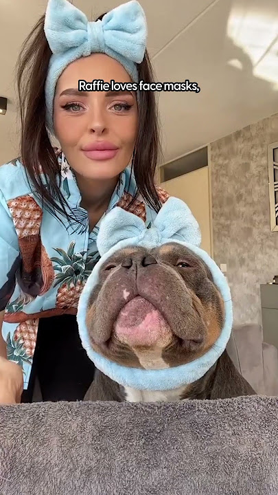 Pampering Ultimate Pet Routine With @bundleofbullies 💅🏻 | The Dodo