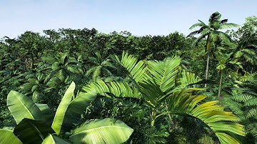 Unreal Engine 4 - DirectX 12 Tech Demo -  PHOTOREALISTIC JUNGLE