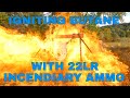 Igniting Butane With 22lr Sparky Ammo