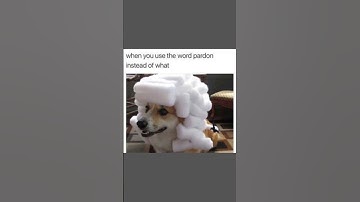 Hilarious Memes Most People Will Relate To 151 #memes   #shorts