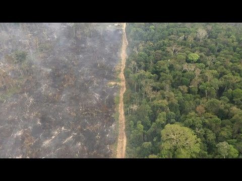 Amazonía brasileña registra