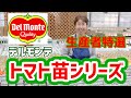 【デルモンテトマト苗】生産農家がオススメする初めての方でも育てやすい５選！宇陀ガーデン