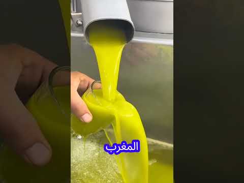 أكثر الدول العربية انتاج لزيت الزيتون لسنة 2025 هل تعلم معلومات استكشاف زيت الزيتون