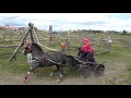 Advanced single pony, carriage driving, obstacles