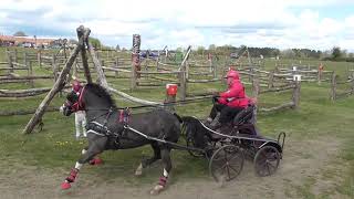 Advanced single pony, carriage driving, obstacles