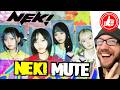 NEK! 🔇 MUTE ...a fan reaction to the opening cut of BINARY !