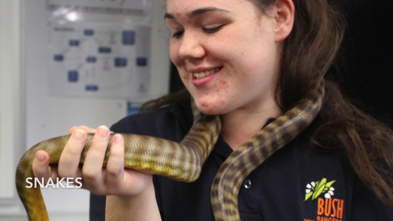 western australia flag Butler College Bush Rangers Cadets video competition entry.