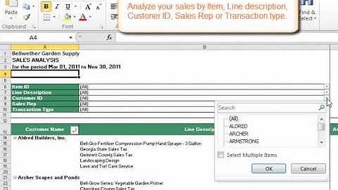 Business Intelligence by Sage Peachtree Tutorial: Sales Report