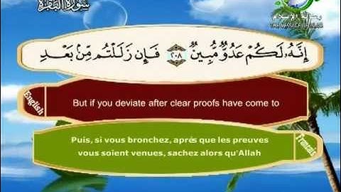 سورة البقرة الاية 191 الى الاية 224 ــ سعد الغامدى