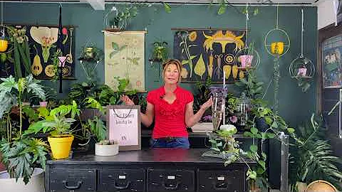 Meet Garden & Plant Expert Marlene Simon