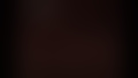 Max Payne Part 2: A Cold Day in Hell, Prologue