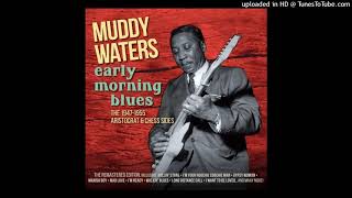 Muddy Waters - Too Young To Know