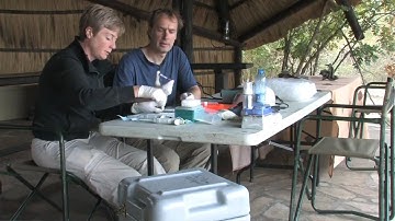 Cracking an ancient code