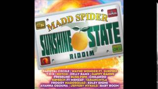SUNSHINE STATE RIDDIM MIXX BY DJ-M.o.M