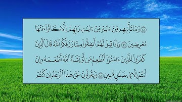 سورة يس (الآية 33 ~ الآية 54) - ياسر بن راشد الدوسري
