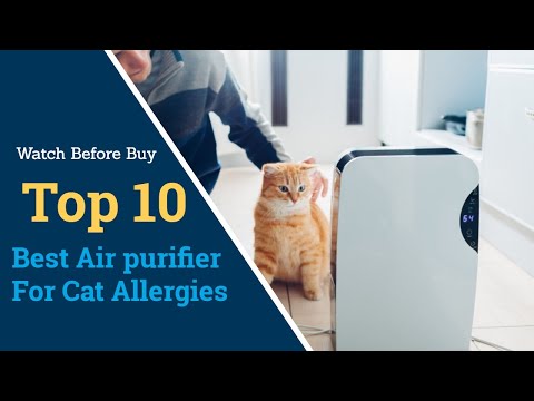 best-air-purifier-for-cat-allergies-|-air-purifier-with-activated-carbon-filter-2020