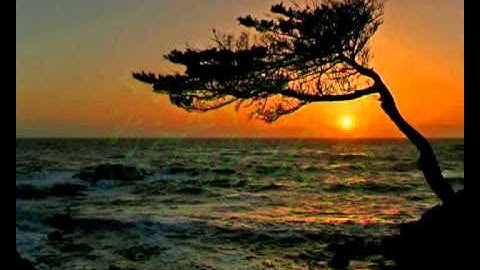 الشيخ محمد المحيسني من سورة التكاثر سورة العصر سورة الهمزة سورة الفيل