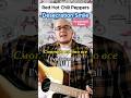 Red Hot Chili Peppers - Desecration Smile На Русском!