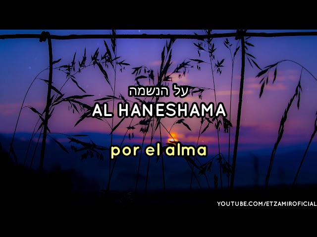 ¡Gracias Hashem! | אלוקים תודה - Elokim Toda | 🎙 Haim Israel - חיים ישראל | C/traducción al español class=