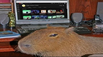 infinite reverse slip